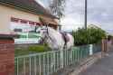 parking-lot-hungary