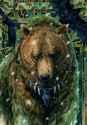 Odin Bear