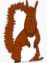 squirreljak
