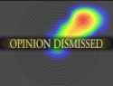 opinion
