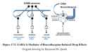 17.9.-GABA-Is-Mediator-of-Benzodiazepine-Induced-Drug-Effects