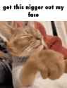 1748320111652101