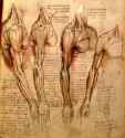 daVinci_draft