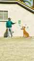 images - 2025-07-04T230710.096