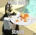 yourmedschizo