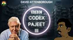 codex