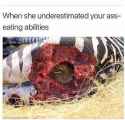 217466