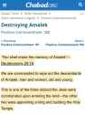 amalek53