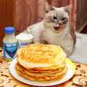blini smetana kot