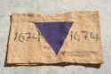 Purple_Triangle