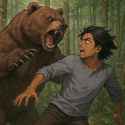 Bear Standoff in the Forest