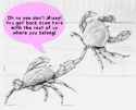 Crabs_qbo8oh