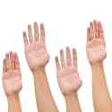 hands-no-thumbs