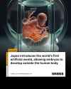 japan-introduces-the-worlds-first-artificial-womb-allowing-embryos-to-develop-outside-the-human-body-C6T6X0FNLH