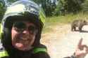 Screenshot 2025-07-04 at 23-46-37 Tourist took selfie with bear ... before being mauled to death