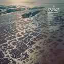 Fleet Foxes - Shore - Art (1)