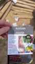 leaflet