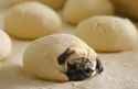 images (4) (31)