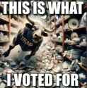 maga good vote