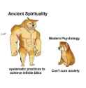 doge meme