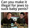 best i can do is make it a felony for you to tell people about jews sucking baby penis