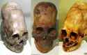 alien skulls found on Earth