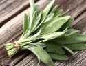 wise herb