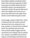 Elongated Skull Aliens DNA