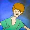 shaggy