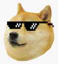 563-5634811_doge-meme-png-photos-dog-meme-transparent-png[1]