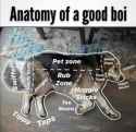 gudboi