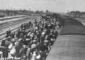 Auschwitz May 1944 Jews from Romania arrive