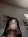 1751898441287064