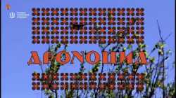 Osinttechnical-1941940196326387987-02