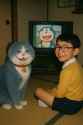 me-and-my-cat-watching-our-own-madeup-cartoon-show-v0-h3uqix8uwkue1