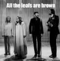 All the leafs are brown