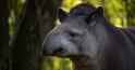 images-6