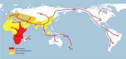 Homo sapiens migrations