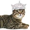tinfoilhatday-3