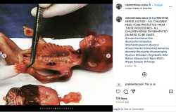 fetal-research-evil