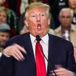 b313d5fb74fde46ac367e03a3aeda7d0df-06-donald-trump-disabled-reporter.rsquare.w400
