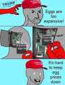 fascinating-v0-tr42ordkpkge1