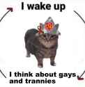 1748354492963598