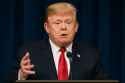 Fetal Alcohol Trump