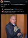 putins-cat-named-peace