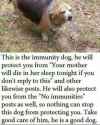 ImmunityDoggo