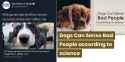 dogs can sense jews - bad people