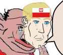 polish