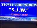 stingyjew