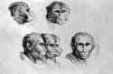 17th century monke